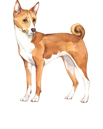 Basenji Dog Printed