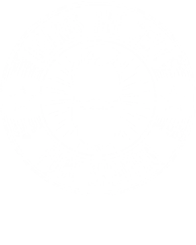 Beards Are Sexy Fuck Shaving Funny Beard Quotes