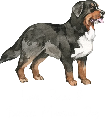 Bernese Mountain Dog Printed