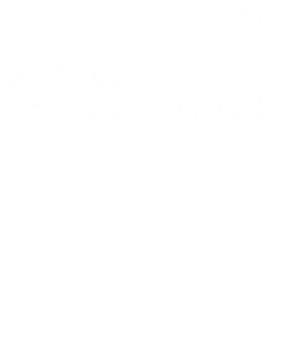Body Building Evoltuion Gym