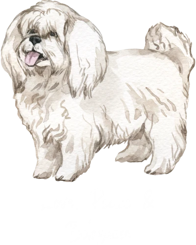 Bolognese Dog Printed