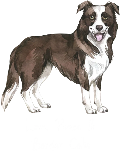Border Collie Dog Printed