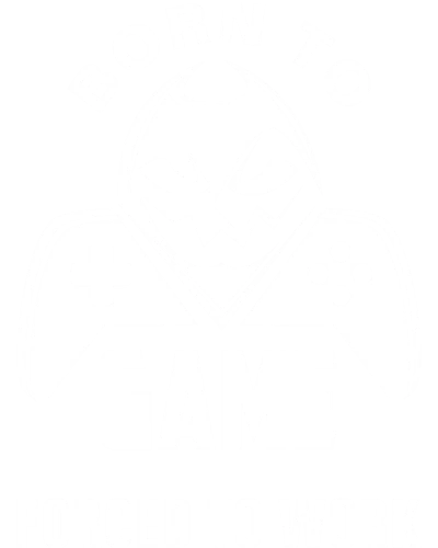 Born To Game Forced To Work Gaming
