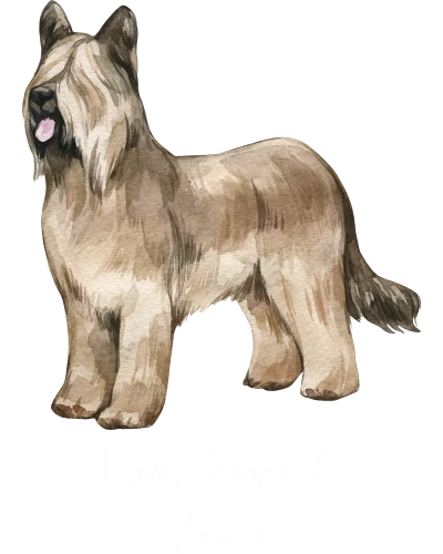 Briard Dog Printed