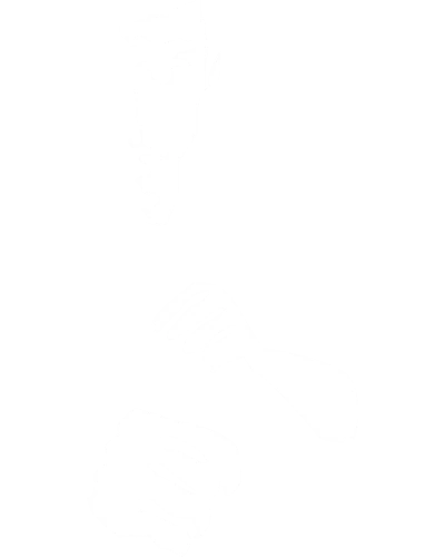 Bruce Lee Gym