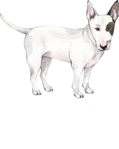Bull Terrier Dog Printed