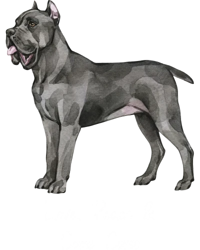 Cane Corso Dog Printed