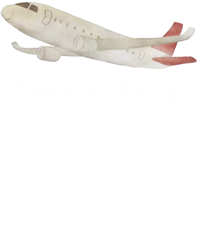 Destined To Fly Airplane Printed