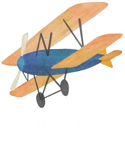 Destined To Fly Airplane Printed