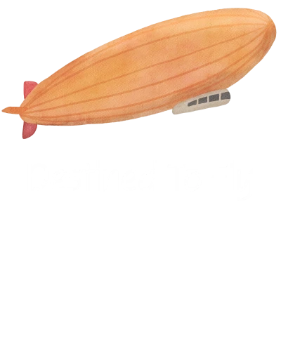 Destined To Fly Hot Air Baloon Printed