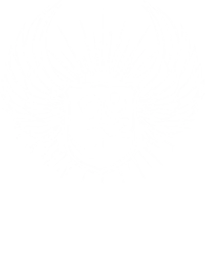 Flying Om India Patriotic Slogan