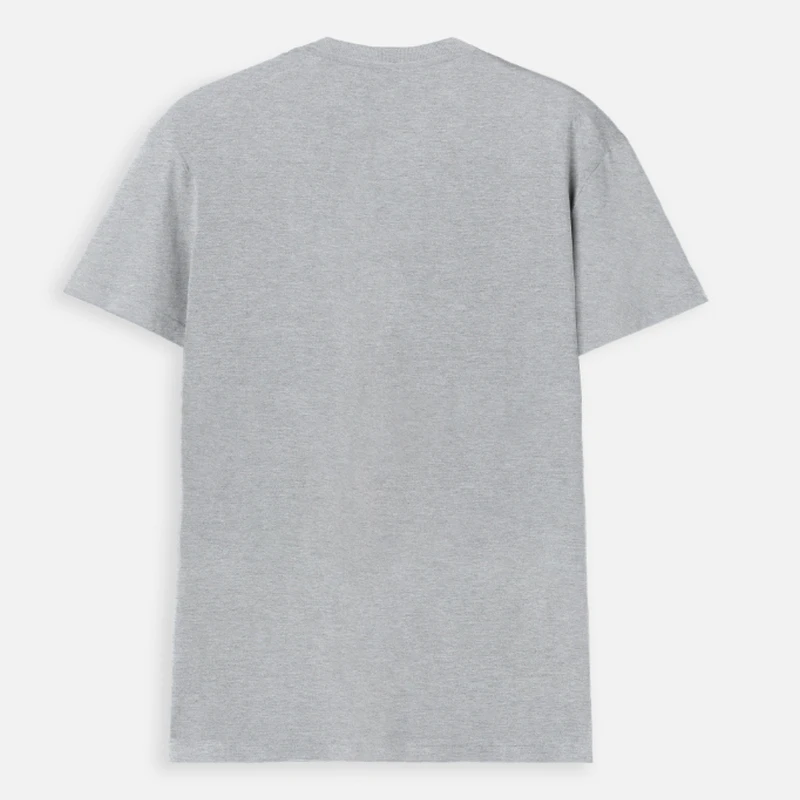 Grey Melane Plain V Neck T-shirt product image