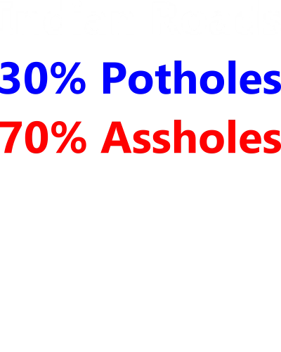 Indian Roads 30% Potholes 70% Assholes Biker