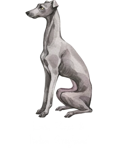 Italian Greyhound Dog Printed