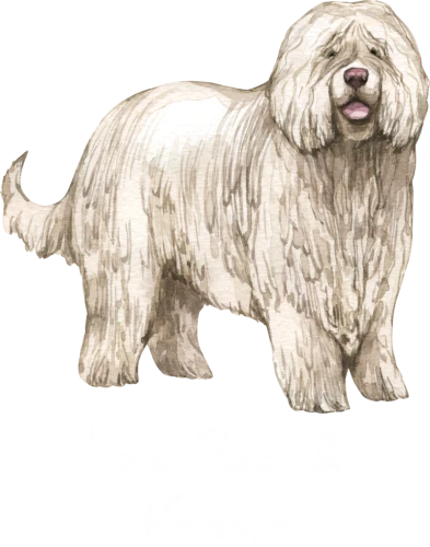 Komondor Dog Printed