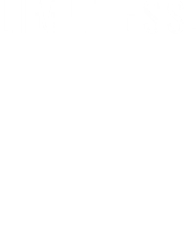 Limitless : Entrepreneur & Startup