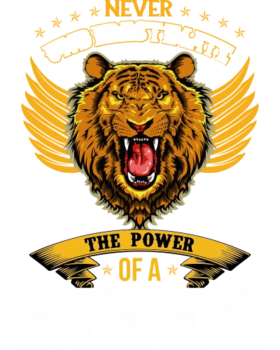 Never Underestimate The Power Of A Biker