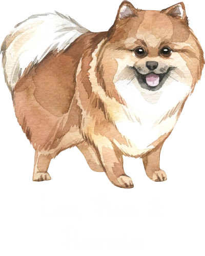 Pomeranian Dog Printed