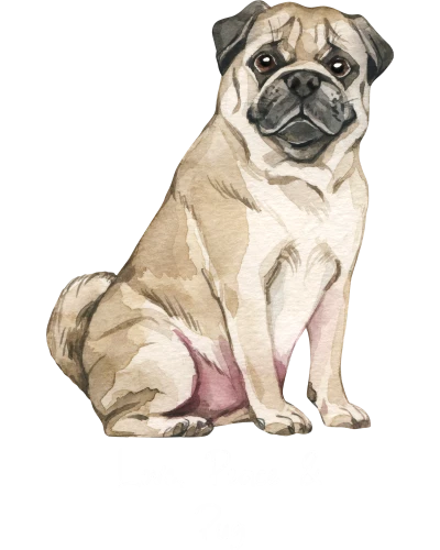 Pug Dog Printed
