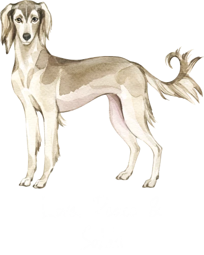 Saluki Dog Printed