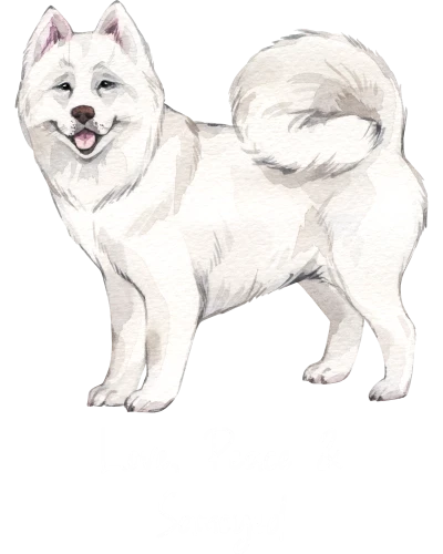 Samoyed Dog Printed
