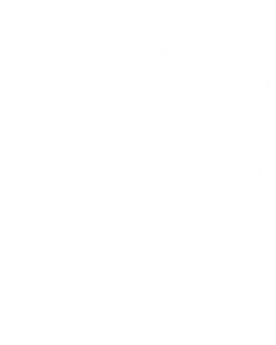 Stop Following Me Funny