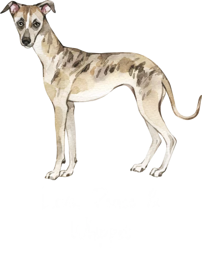 Whippet Dog Printed
